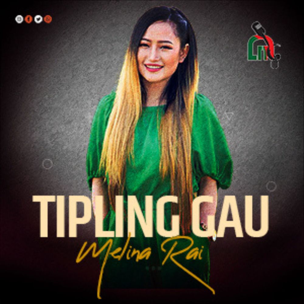 Tipling gau