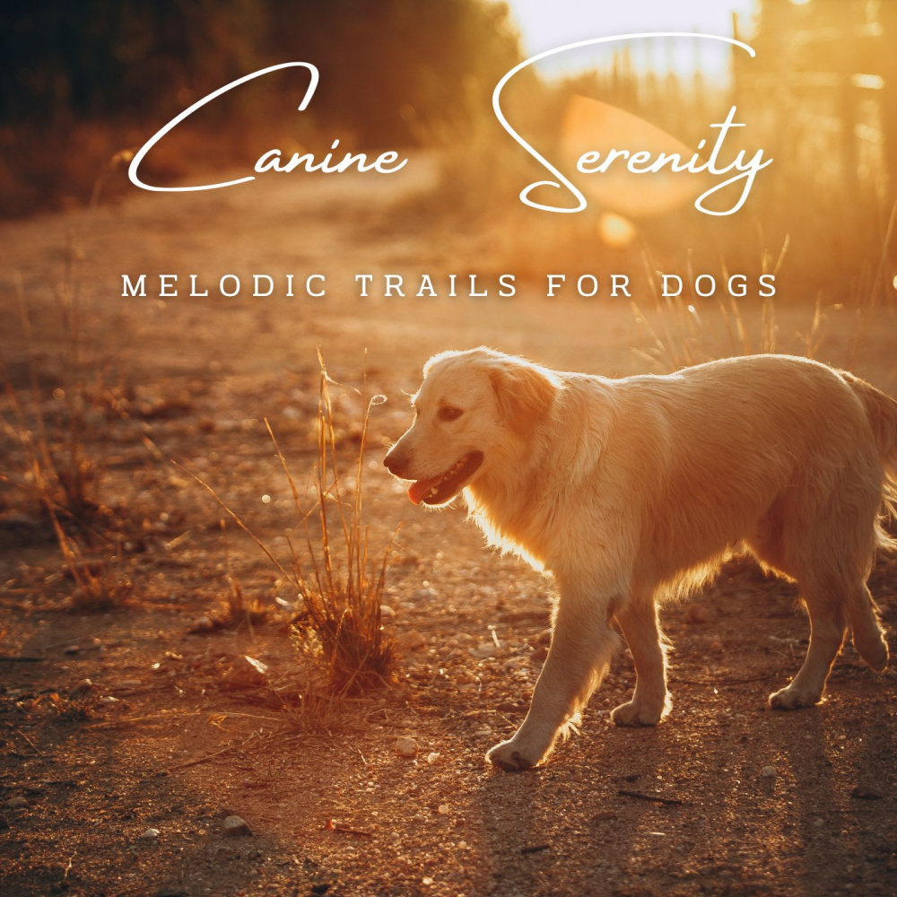 Symphony of Canine Peace