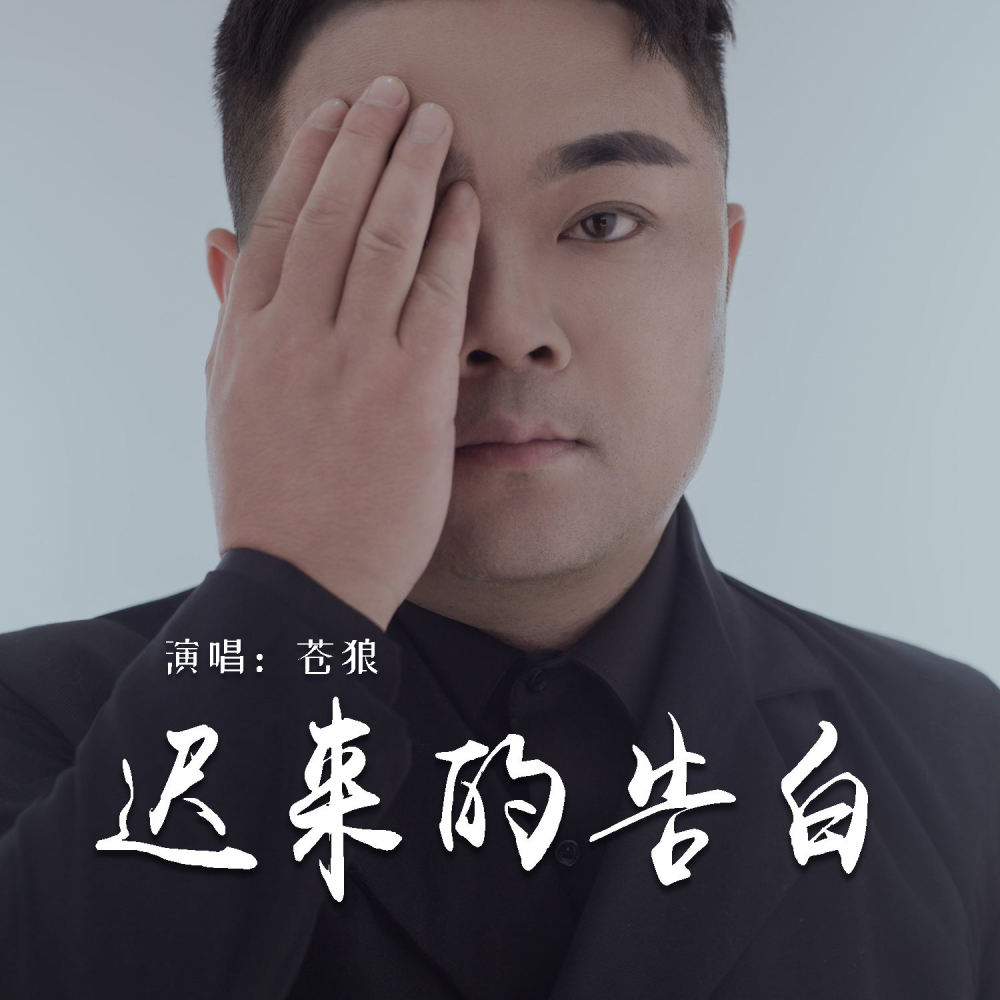 迟来的告白 (DJ默涵版)