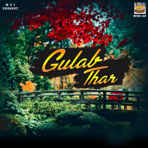 Tariq Ahmad的专辑Gulab Thar