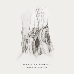 收听Sebastian Winskog的Meadow歌词歌曲