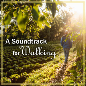 Jean Sibelius的專輯A Soundtrack for Walking: Sibelius