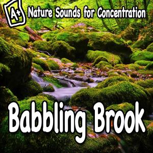 收聽Study Music的Babbling Brook Motion to Help Pay Attention歌詞歌曲