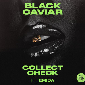 ดาวน์โหลดและฟังเพลง Collect Check พร้อมเนื้อเพลงจาก Black Caviar