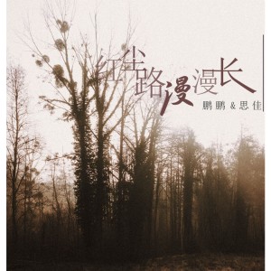 อัลบัม 红尘路漫漫长 ศิลปิน 鹏鹏音乐