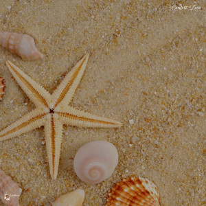 Dengarkan I Feel lagu dari Innate Joy dengan lirik