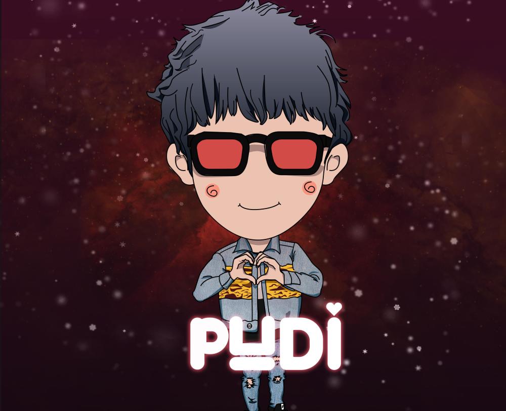 Pudi