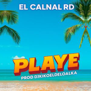 的專輯Playe (feat. DJ Kiko El De Lo Alka & El Movimiento 420) [Explicit]