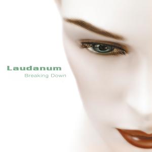 อัลบัม Breaking Down (Radio Edit) ศิลปิน Laudanum