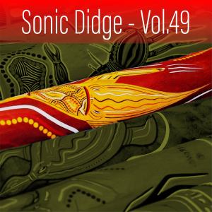 Gene Pierson的專輯Sonic Didge, Vol. 49