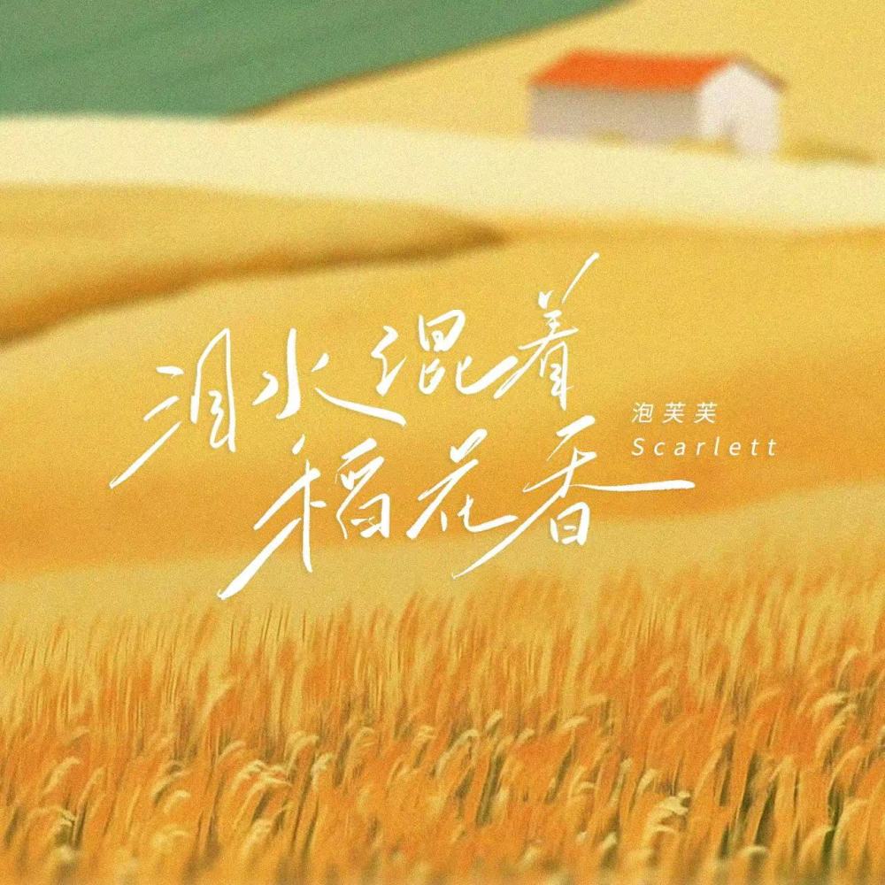 泪水混着稻花香 (和声伴奏)