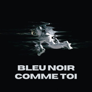Album Bleu Noir Comme Toi from 