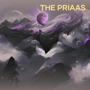 PBB的专辑The Priaas (Remix)