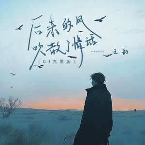 อัลบัม 后来的风吹散了情话(DJ九零版) ศิลปิน 王韵