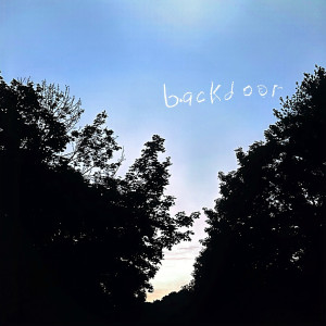 Album Backdoor (Explicit) from Tyler Brunner