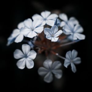 收听Musica Para Dormir Profundamente的Sueño de Bebé歌词歌曲