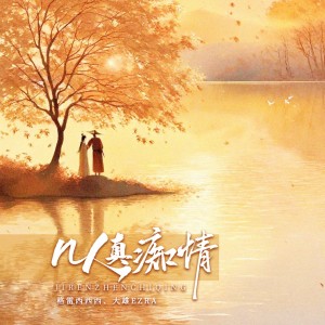 Listen to 几人真痴情 (完整版) song with lyrics from 格雷西西西
