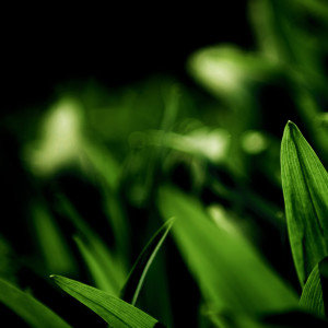 Album 潮汐 (Natural) oleh 篮心羽