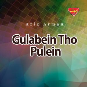 Dengarkan Gulabein Tho Pulein lagu dari Aziz Arman dengan lirik