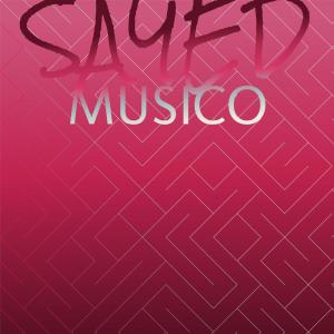 Various Artists的專輯Sayed Musico