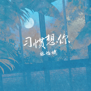 Album 习惯想你 from 林怡婕