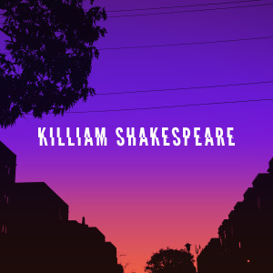 ดาวน์โหลดและฟังเพลง Mike Vick พร้อมเนื้อเพลงจาก Killiam Shakespeare