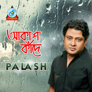 Listen to Nissho Koreso Tumi song with lyrics from Palash