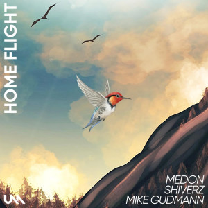 Listen to Home Flight song with lyrics from Medon
