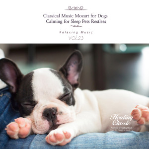 Album Classical Music for Dogs, Calming for Sleep Pets Restless, Vol. 23 from Healing Classic