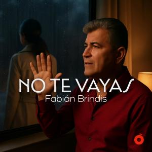 收听Fabián Brindis的No Te Vayas歌词歌曲