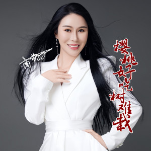 Listen to 樱桃好吃树难栽 song with lyrics from 南芊羽