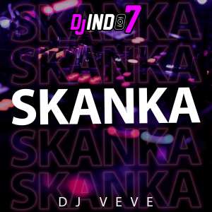 Listen to SKANKA TECH HOUSE (Remix) song with lyrics from djindo7