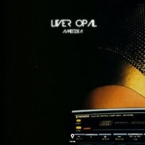 Listen to Liver opal song with lyrics from Emmy Fox