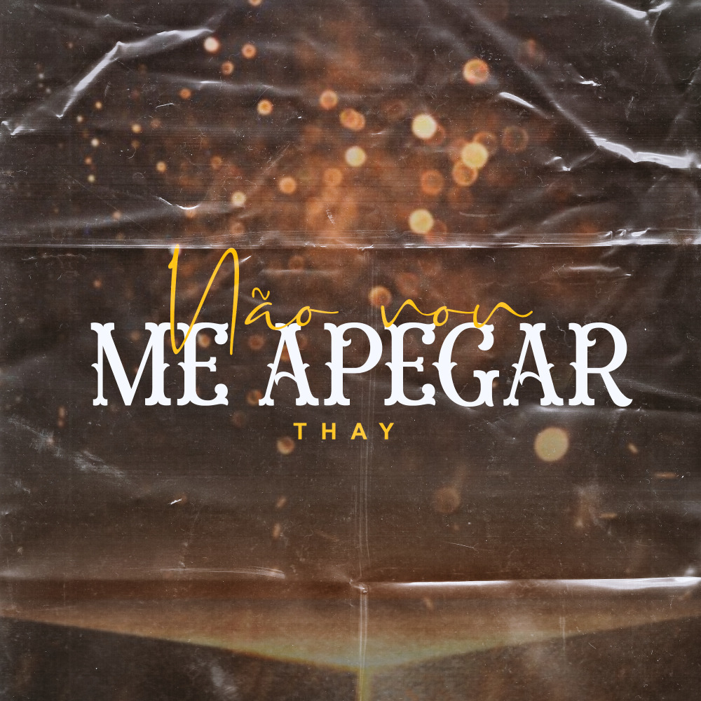 Não Vou Me Apegar (Explicit)