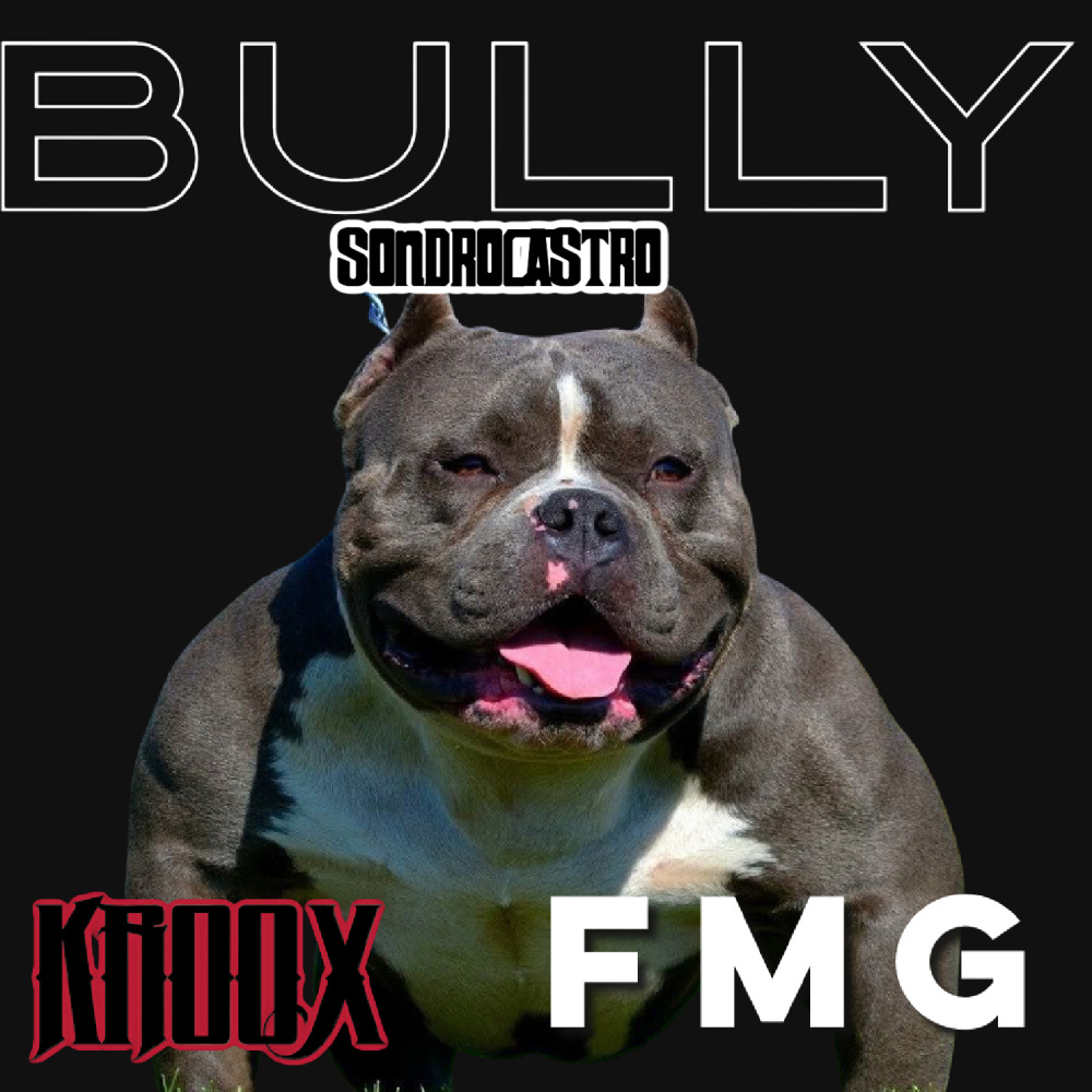 BULLY (Explicit)