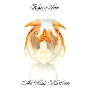 ดาวน์โหลดและฟังเพลง Soft (Explicit) พร้อมเนื้อเพลงจาก Kings of Leon