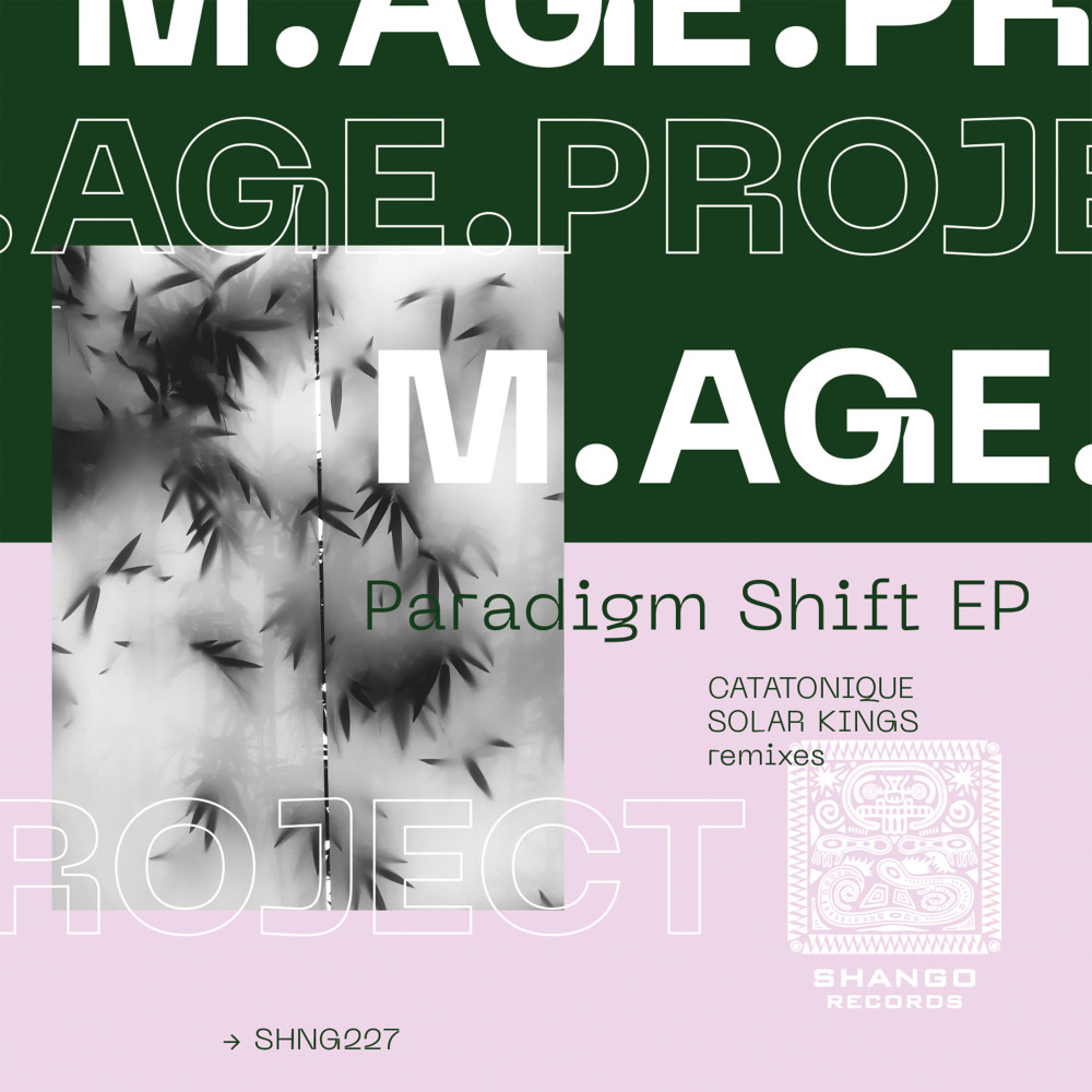 Paradigm Shift (Solar Kings remix)