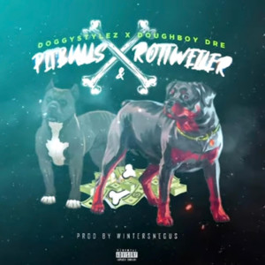 收聽DoggyStylez的PitBulls & Rottweilers (Explicit)歌詞歌曲