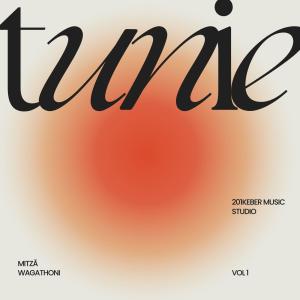 ดาวน์โหลดและฟังเพลง Tunie (feat. Wagathoni) พร้อมเนื้อเพลงจาก Mitza