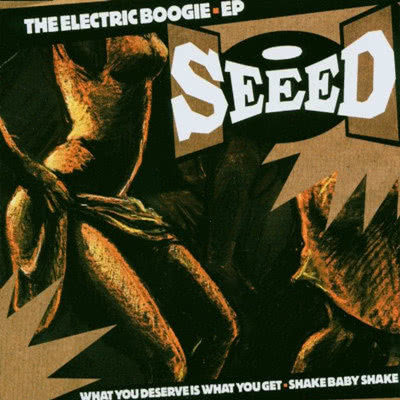 Krazy Party (feat. Ward 21) (Seeed's Electric Boogie Riddim)