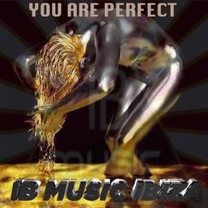 Album You Are Perfect (Techno Edit) from Ib Music IBiza