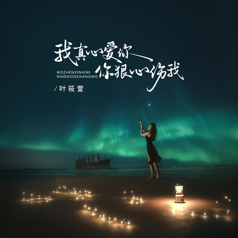我真心爱你你狠心伤我 (完整版)