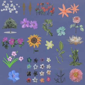 Album Dials from Molly McPhaul