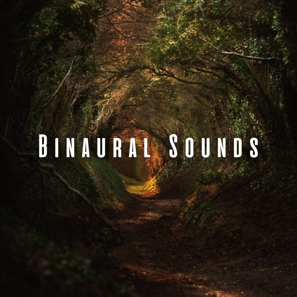 Binaural Brainwave Oasis