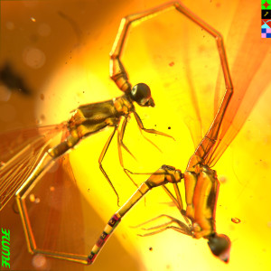 Listen to Friends (Explicit) song with lyrics from Flume