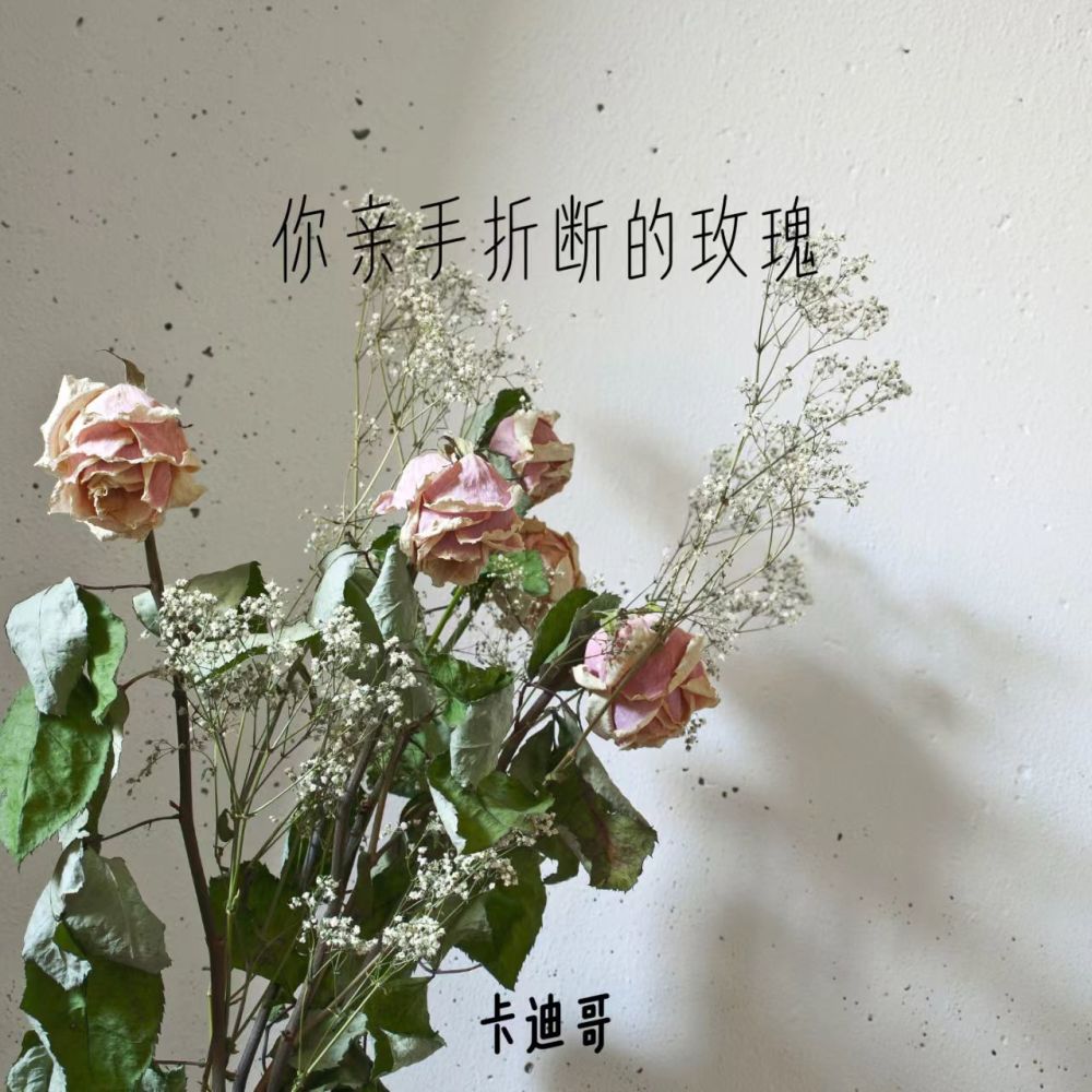 你亲手折断的玫瑰