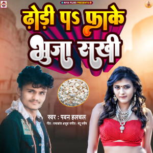 Listen to Dori Pa Fake Bhuja Sakhi song with lyrics from Pawan Halchal