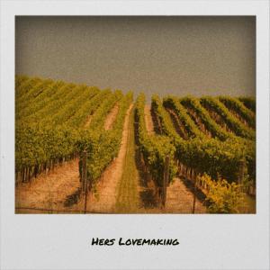 Dengarkan lagu Somewhat Biography nyanyian Salla Horla dengan lirik