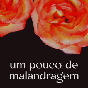 ดาวน์โหลดและฟังเพลง Você Vai Estar Na Minha พร้อมเนื้อเพลงจาก Negra Li