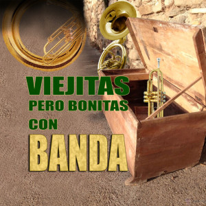 Listen to Cuando Nadie Te Quiera (Banda) song with lyrics from Banda Triguera